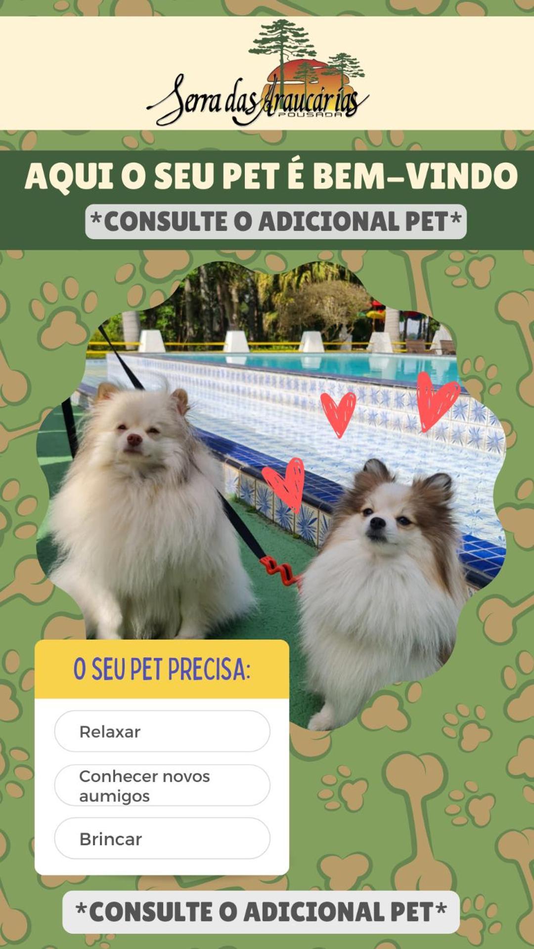 Pousada Serra Das Araucarias Petfriendly - Caofe Da Manha Pet Sao Roque  Ngoại thất bức ảnh